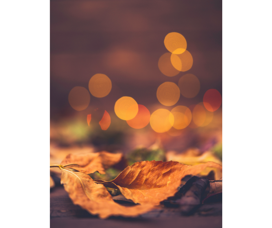 libérer l'énergie en novembre