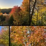 Forfait d'automne