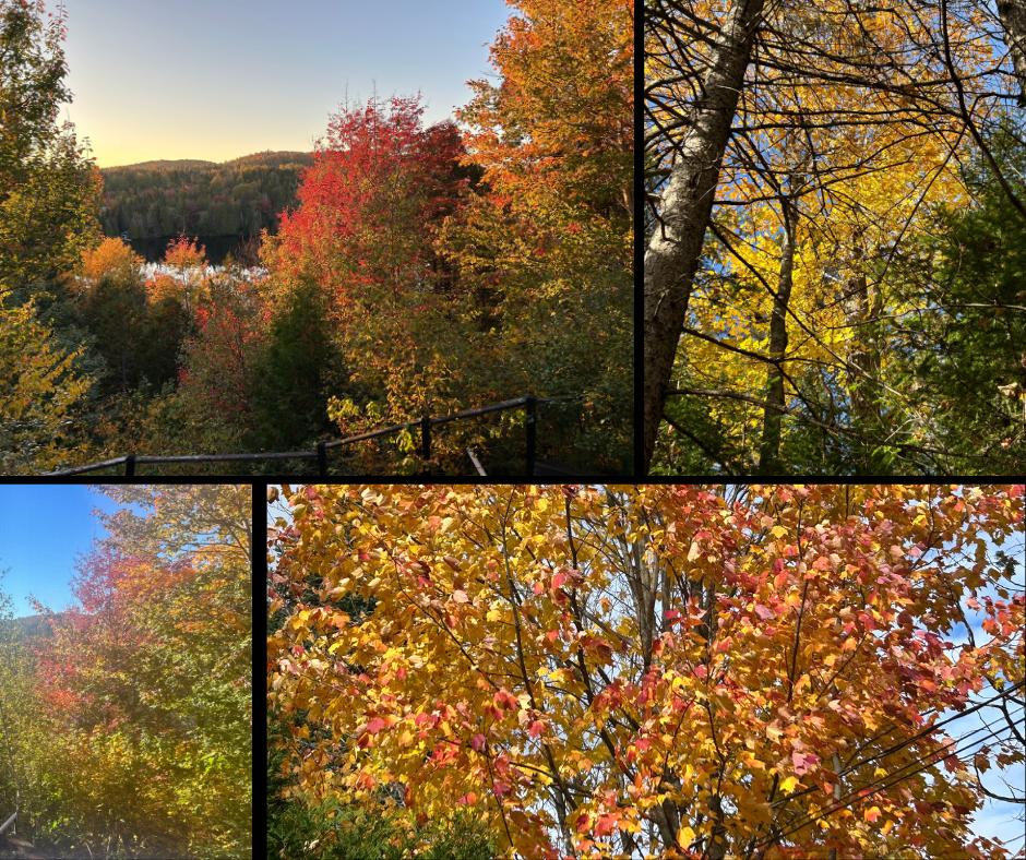 Forfait d'automne