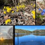 Forfait Printemps pour donner un élan printemps 2024 Laurentides