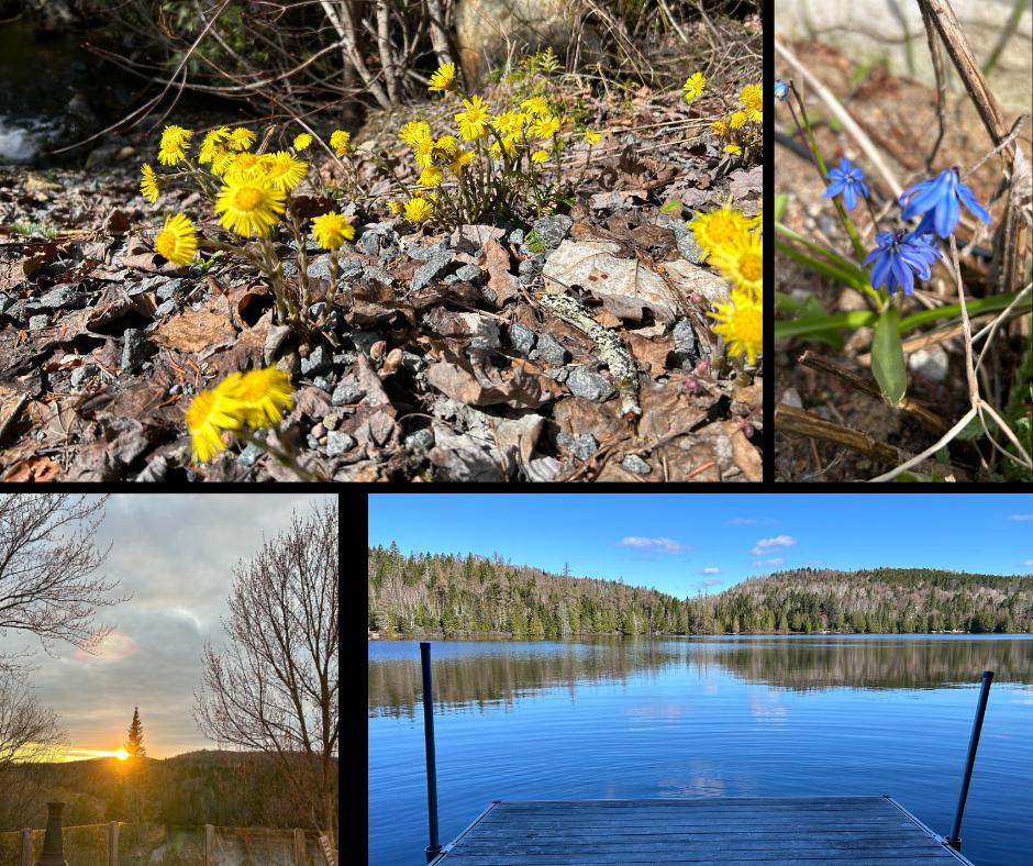 printemps 2024 Laurentides