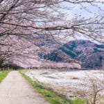 chemin vers une vie merveilleuse
